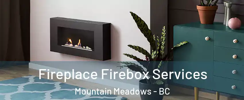  Fireplace Firebox Services Mountain Meadows - BC
