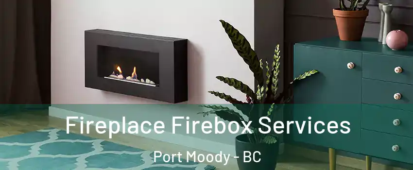  Fireplace Firebox Services Port Moody - BC