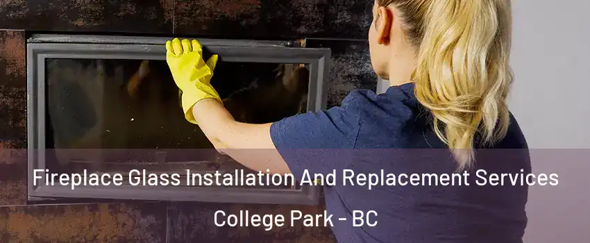  Fireplace Glass Installation And Replacement Services College Park - BC