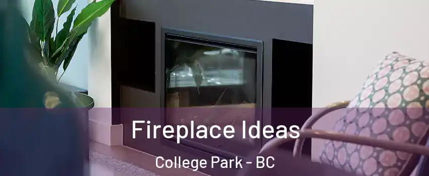  Fireplace Ideas College Park - BC