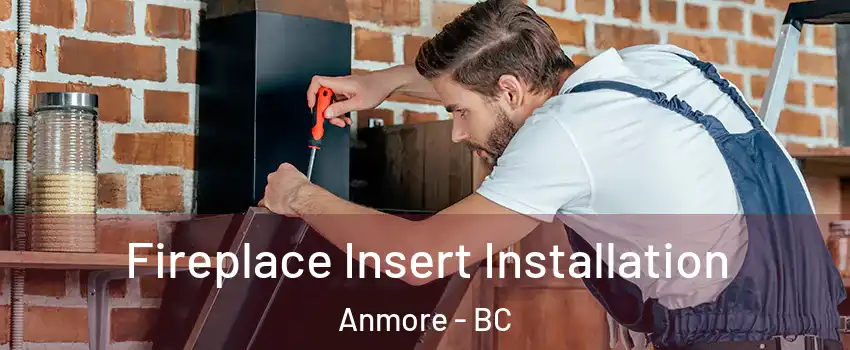  Fireplace Insert Installation Anmore - BC