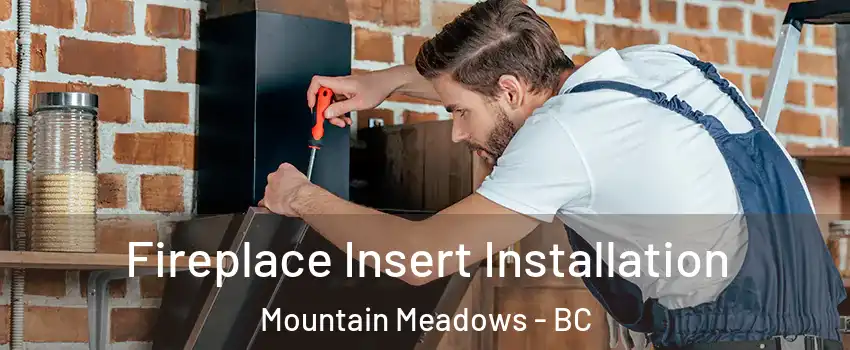 Fireplace Insert Installation Mountain Meadows - BC