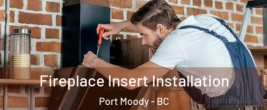  Fireplace Insert Installation Port Moody - BC