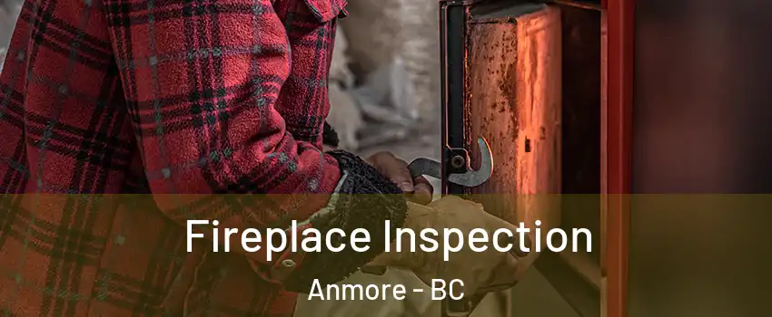  Fireplace Inspection Anmore - BC
