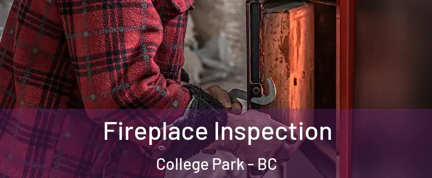  Fireplace Inspection College Park - BC