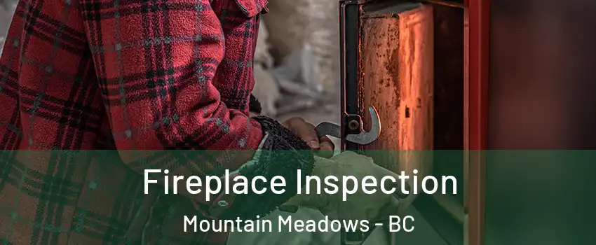  Fireplace Inspection Mountain Meadows - BC