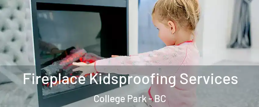  Fireplace Kidsproofing Services College Park - BC