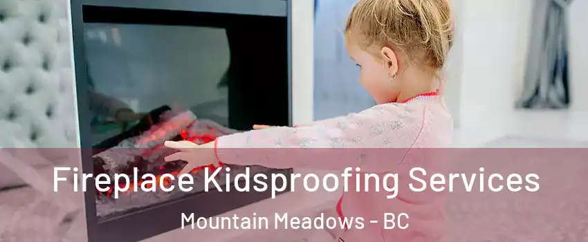  Fireplace Kidsproofing Services Mountain Meadows - BC