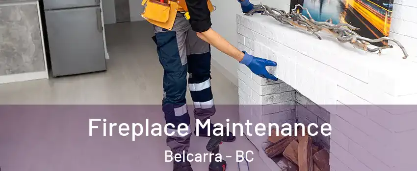  Fireplace Maintenance Belcarra - BC