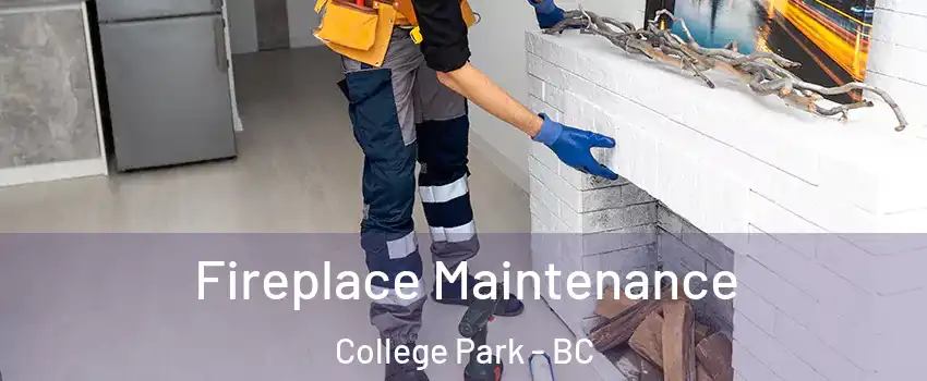  Fireplace Maintenance College Park - BC