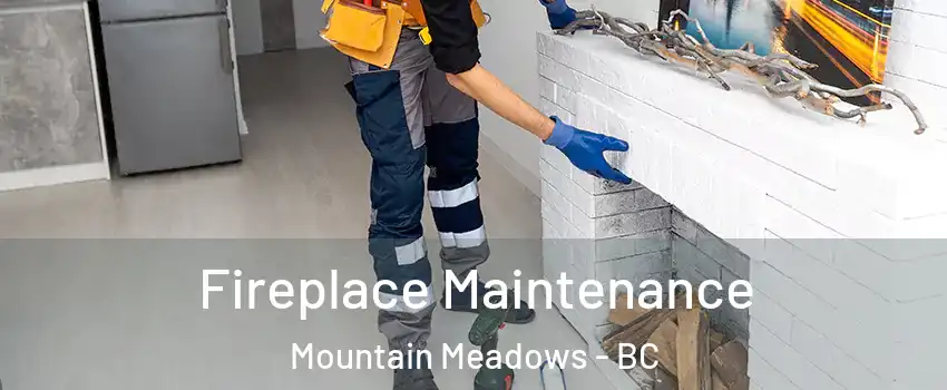  Fireplace Maintenance Mountain Meadows - BC