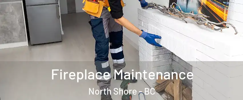  Fireplace Maintenance North Shore - BC
