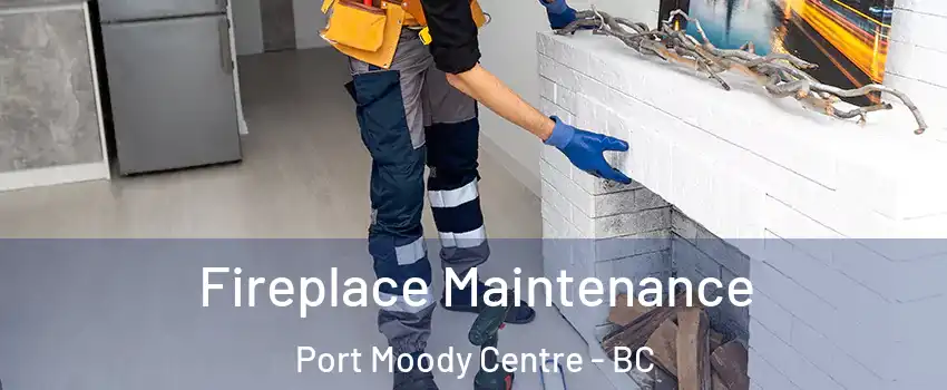  Fireplace Maintenance Port Moody Centre - BC