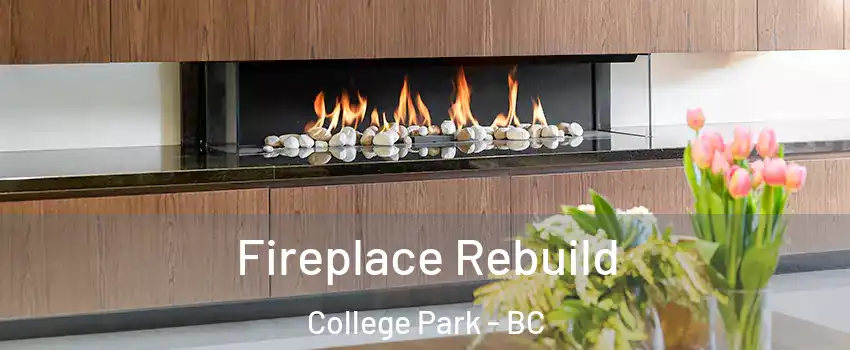 Fireplace Rebuild College Park - BC