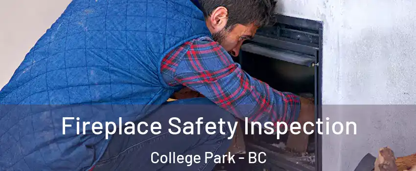  Fireplace Safety Inspection College Park - BC