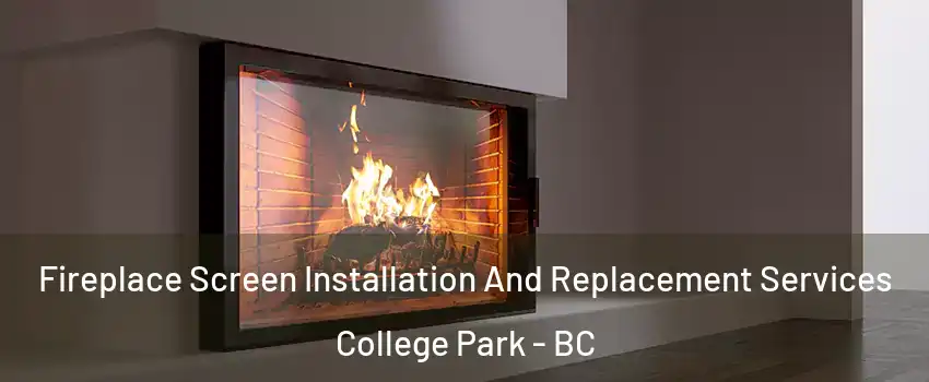  Fireplace Screen Installation And Replacement Services College Park - BC