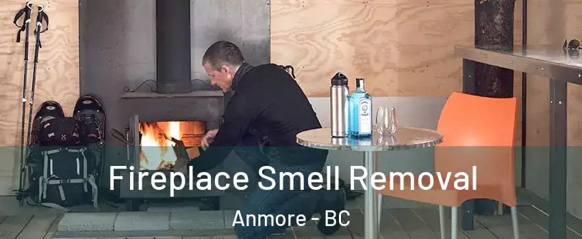  Fireplace Smell Removal Anmore - BC