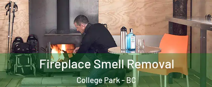  Fireplace Smell Removal College Park - BC