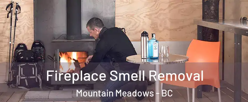  Fireplace Smell Removal Mountain Meadows - BC