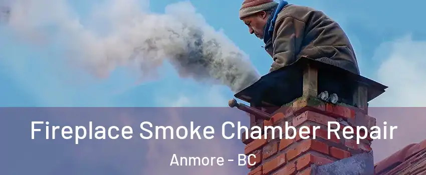  Fireplace Smoke Chamber Repair Anmore - BC