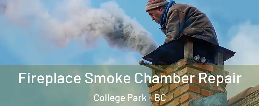  Fireplace Smoke Chamber Repair College Park - BC