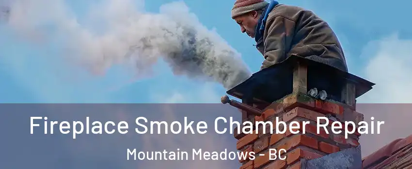  Fireplace Smoke Chamber Repair Mountain Meadows - BC
