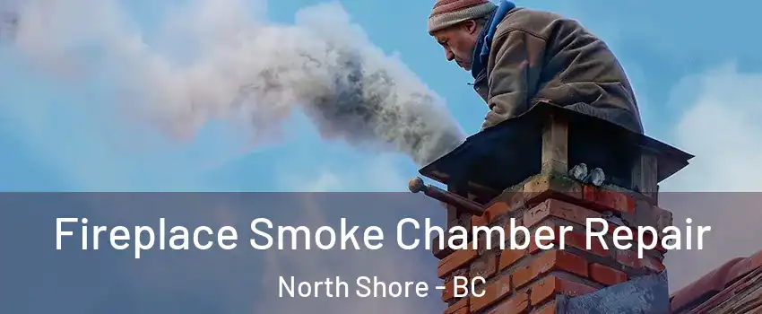  Fireplace Smoke Chamber Repair North Shore - BC