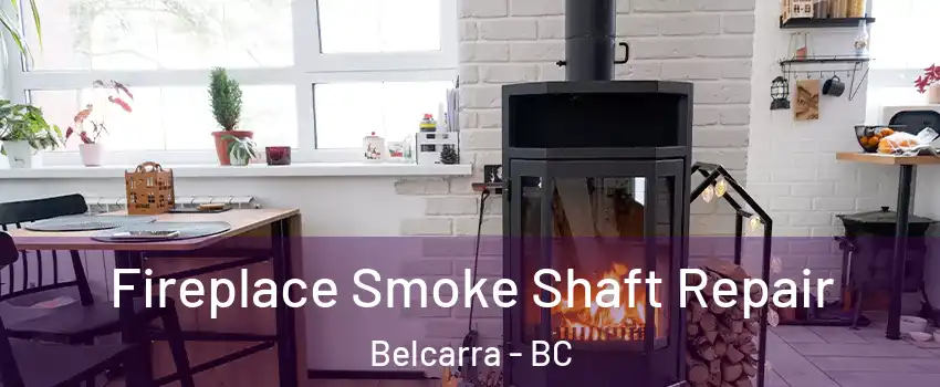  Fireplace Smoke Shaft Repair Belcarra - BC