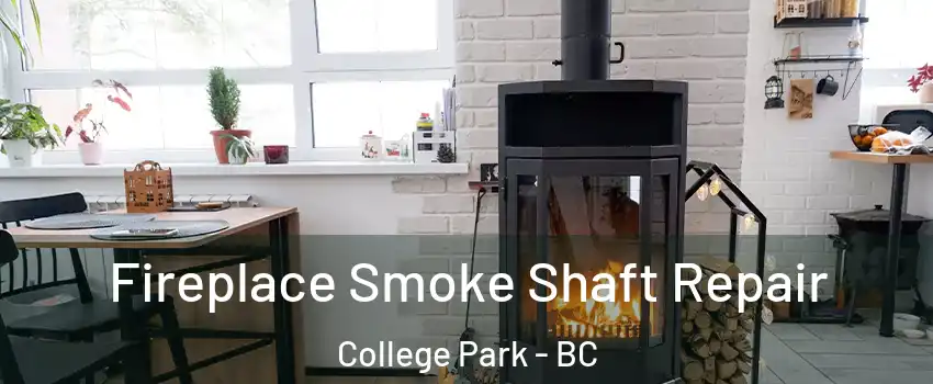  Fireplace Smoke Shaft Repair College Park - BC