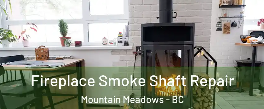  Fireplace Smoke Shaft Repair Mountain Meadows - BC