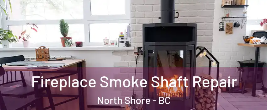  Fireplace Smoke Shaft Repair North Shore - BC