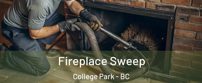  Fireplace Sweep College Park - BC