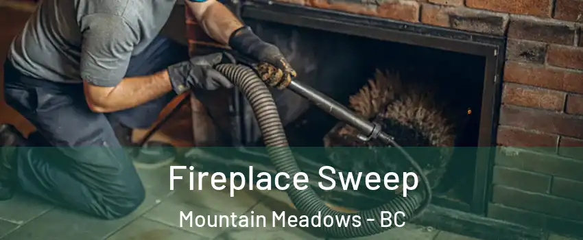  Fireplace Sweep Mountain Meadows - BC
