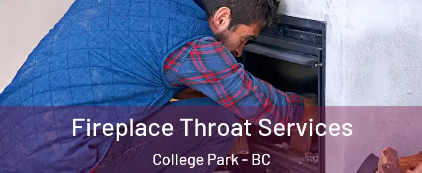  Fireplace Throat Services College Park - BC