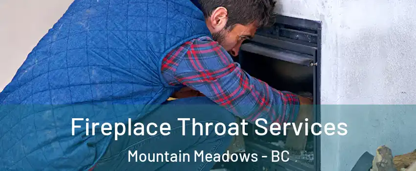  Fireplace Throat Services Mountain Meadows - BC