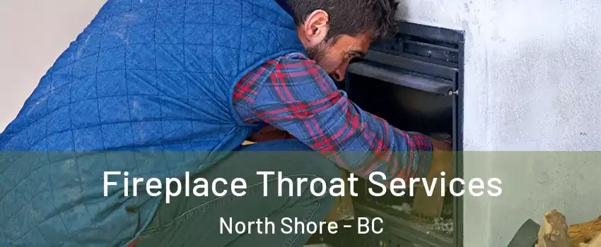  Fireplace Throat Services North Shore - BC