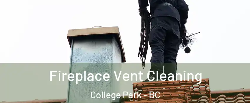 Fireplace Vent Cleaning College Park - BC