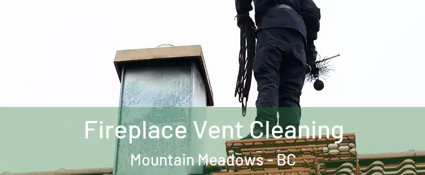  Fireplace Vent Cleaning Mountain Meadows - BC