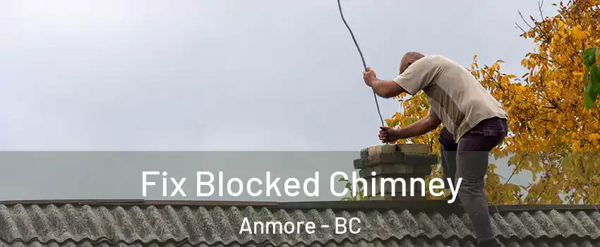  Fix Blocked Chimney Anmore - BC
