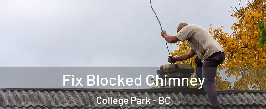  Fix Blocked Chimney College Park - BC