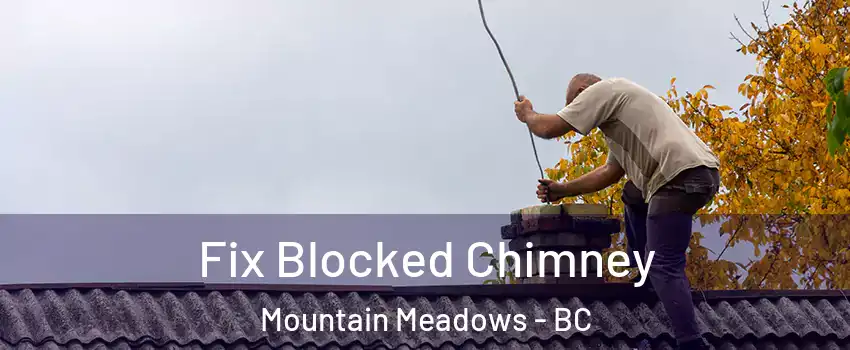  Fix Blocked Chimney Mountain Meadows - BC