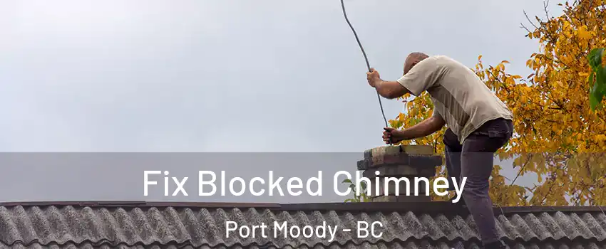  Fix Blocked Chimney Port Moody - BC