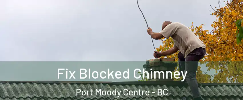  Fix Blocked Chimney Port Moody Centre - BC