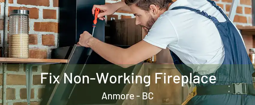  Fix Non-Working Fireplace Anmore - BC
