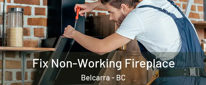  Fix Non-Working Fireplace Belcarra - BC