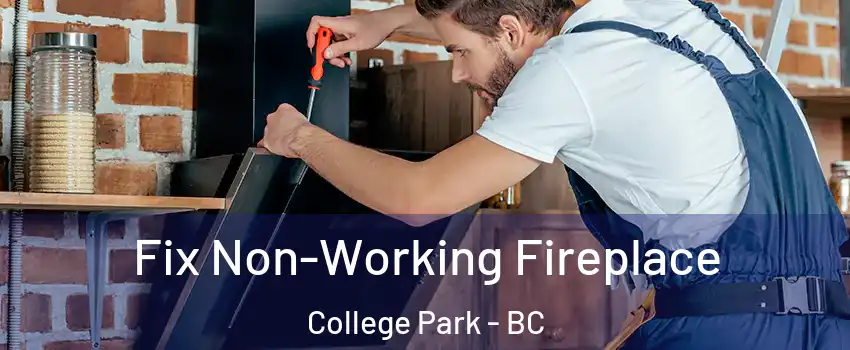  Fix Non-Working Fireplace College Park - BC