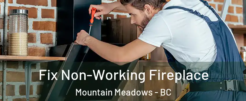  Fix Non-Working Fireplace Mountain Meadows - BC