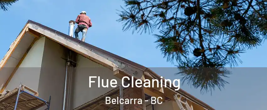  Flue Cleaning Belcarra - BC
