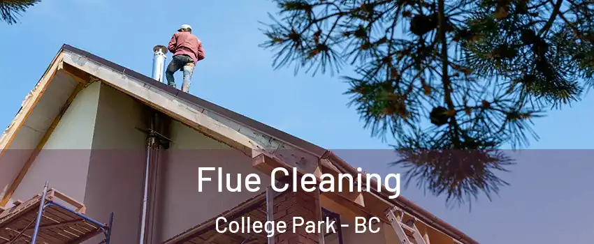  Flue Cleaning College Park - BC