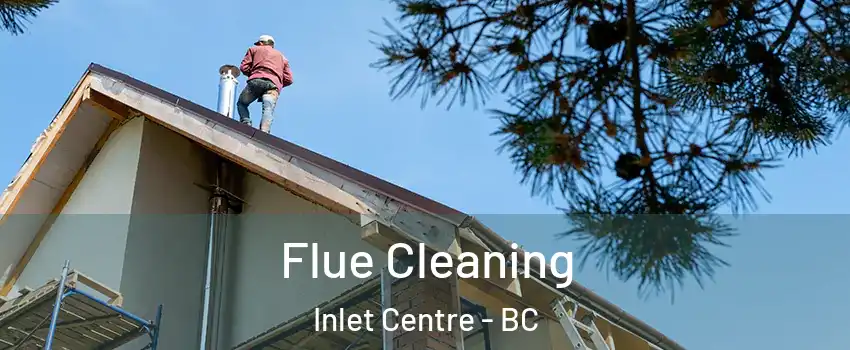  Flue Cleaning Inlet Centre - BC